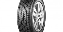 Bridgestone Blizzak DM V1
