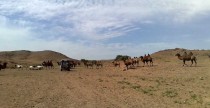 Opony BFGoodrich All Terrain w wyprawie do Mongolii
