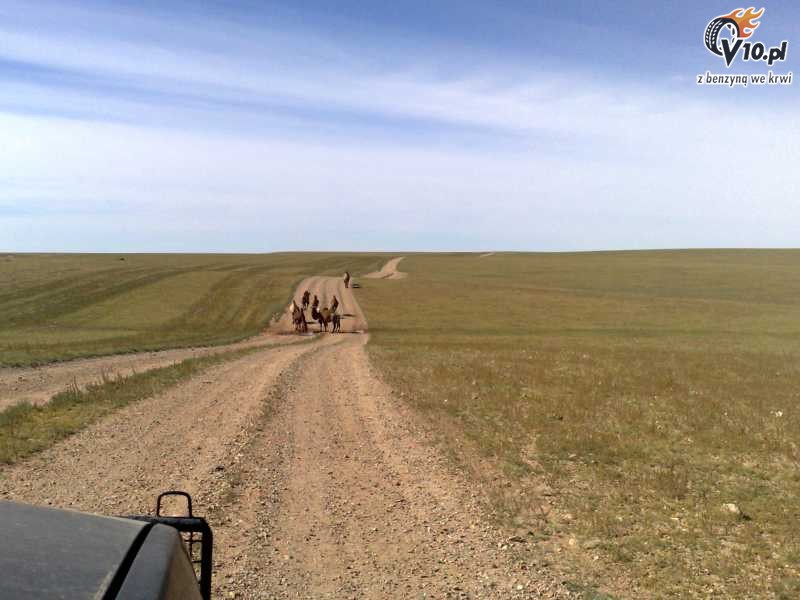 Opony BFGoodrich All Terrain w wyprawie do Mongolii