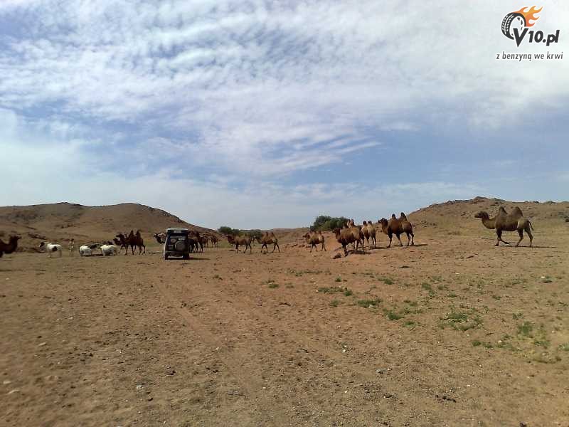 Opony BFGoodrich All Terrain w wyprawie do Mongolii