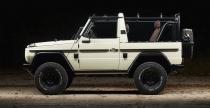 Mercedes G Wolf