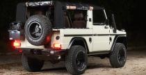 Mercedes G Wolf