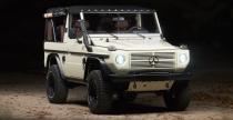 Mercedes G Wolf