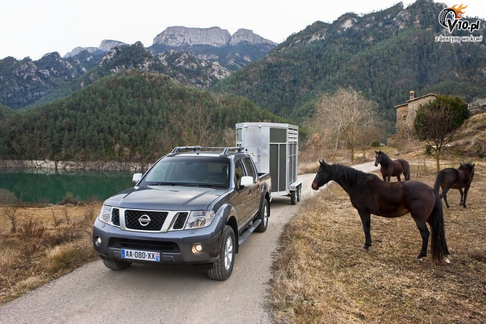 Nowy Nissan Navara 2010 po face liftingu
