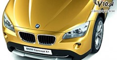BMW X1 Concept