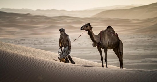 Przygoński vs Pawlusiak