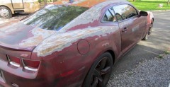 Camaro w stylu Rat