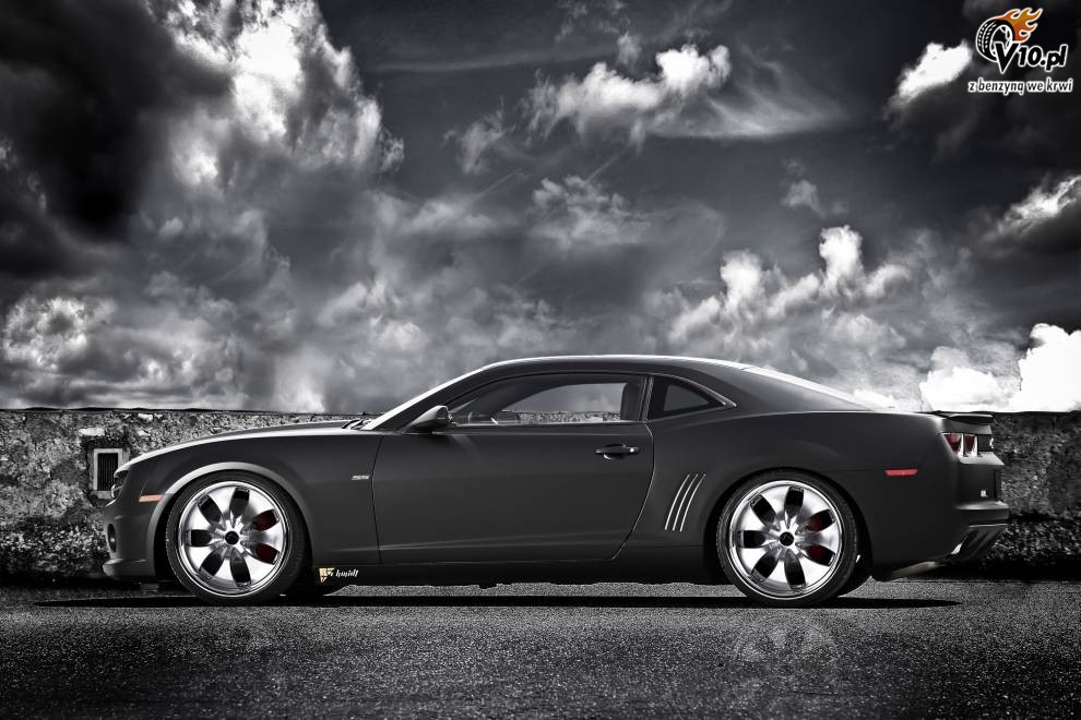 Camaro SS Black Cat
