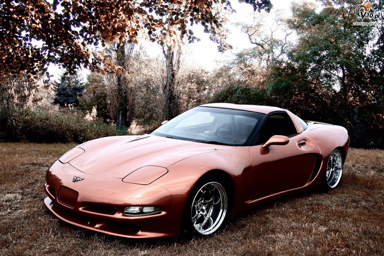 Corvette C5 Wittera bodykit