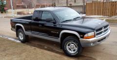 Dodge Dakota - pickup