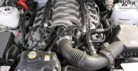 Ford V8