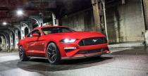 Ford Mustang Performance Peak 2