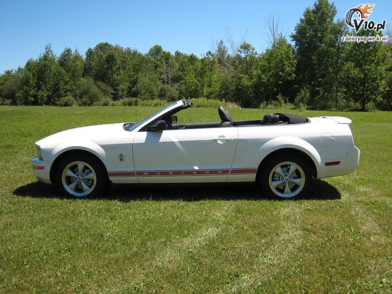 2008 ford mustang conv 3