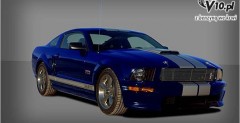 2008 Shelby GT