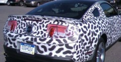 Ford Mustang 2010