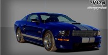 2008 Shelby GT