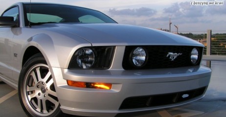Mustang grill