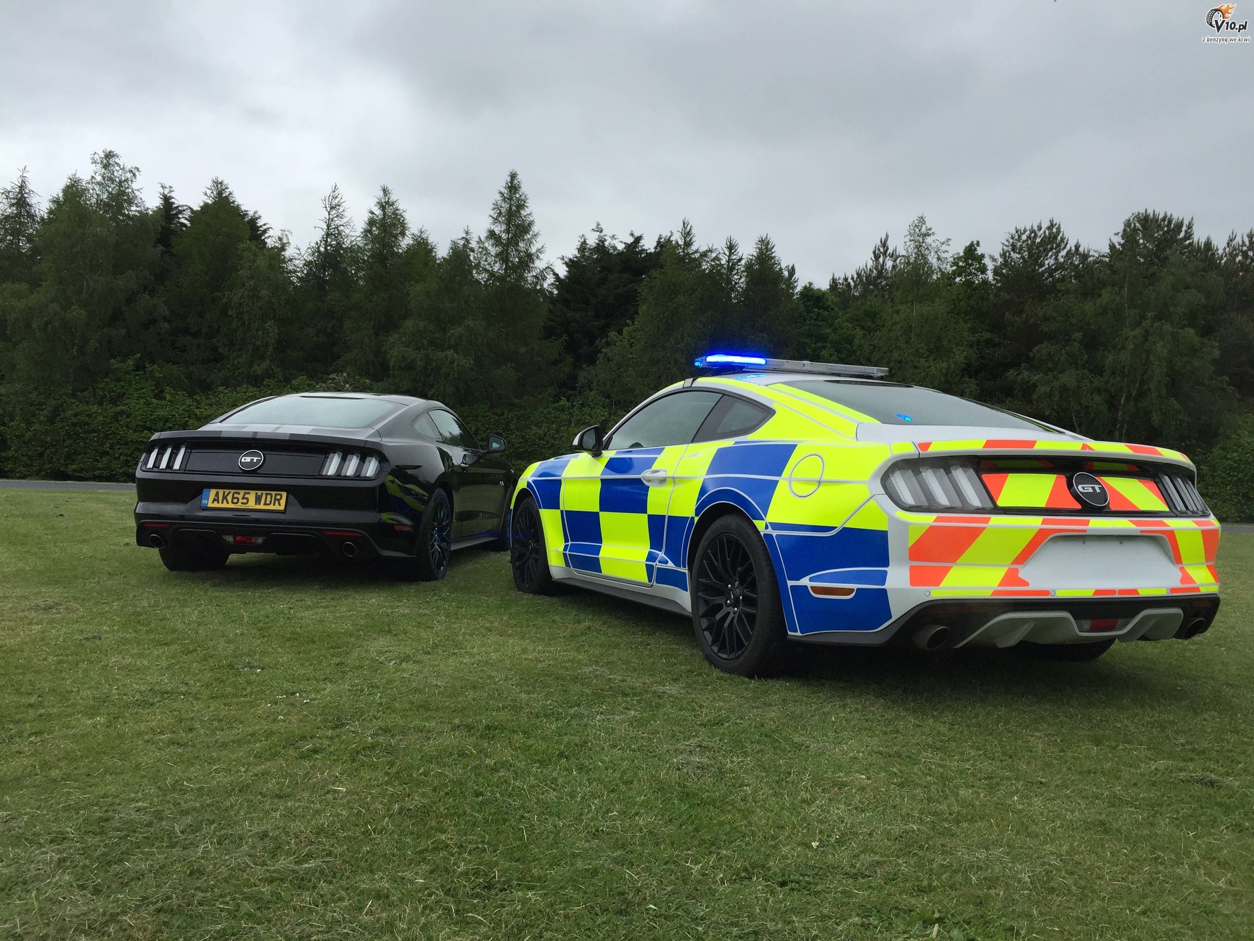 Ford Mustang w barwach brytyjskiej policji