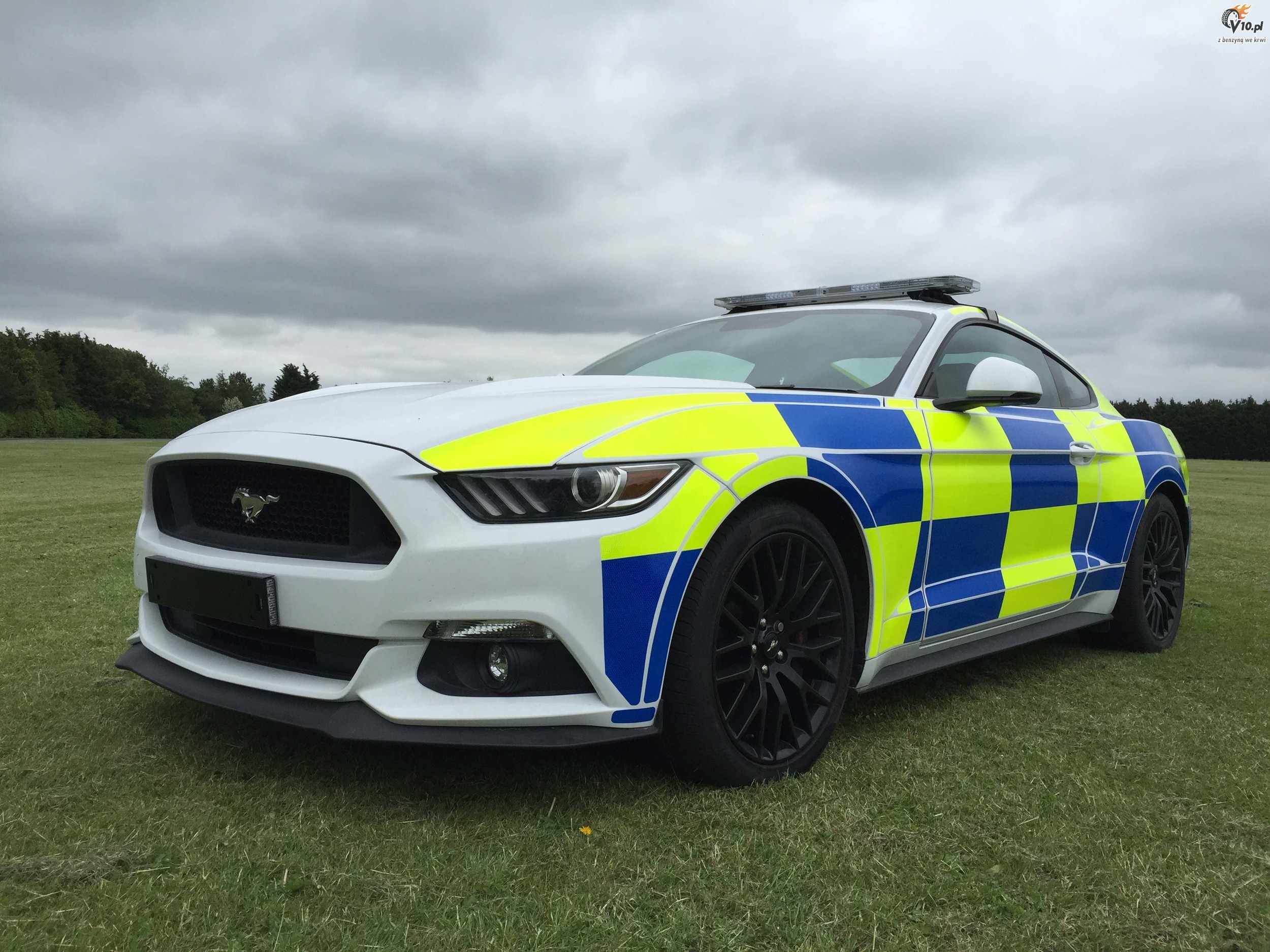 Ford Mustang w barwach brytyjskiej policji