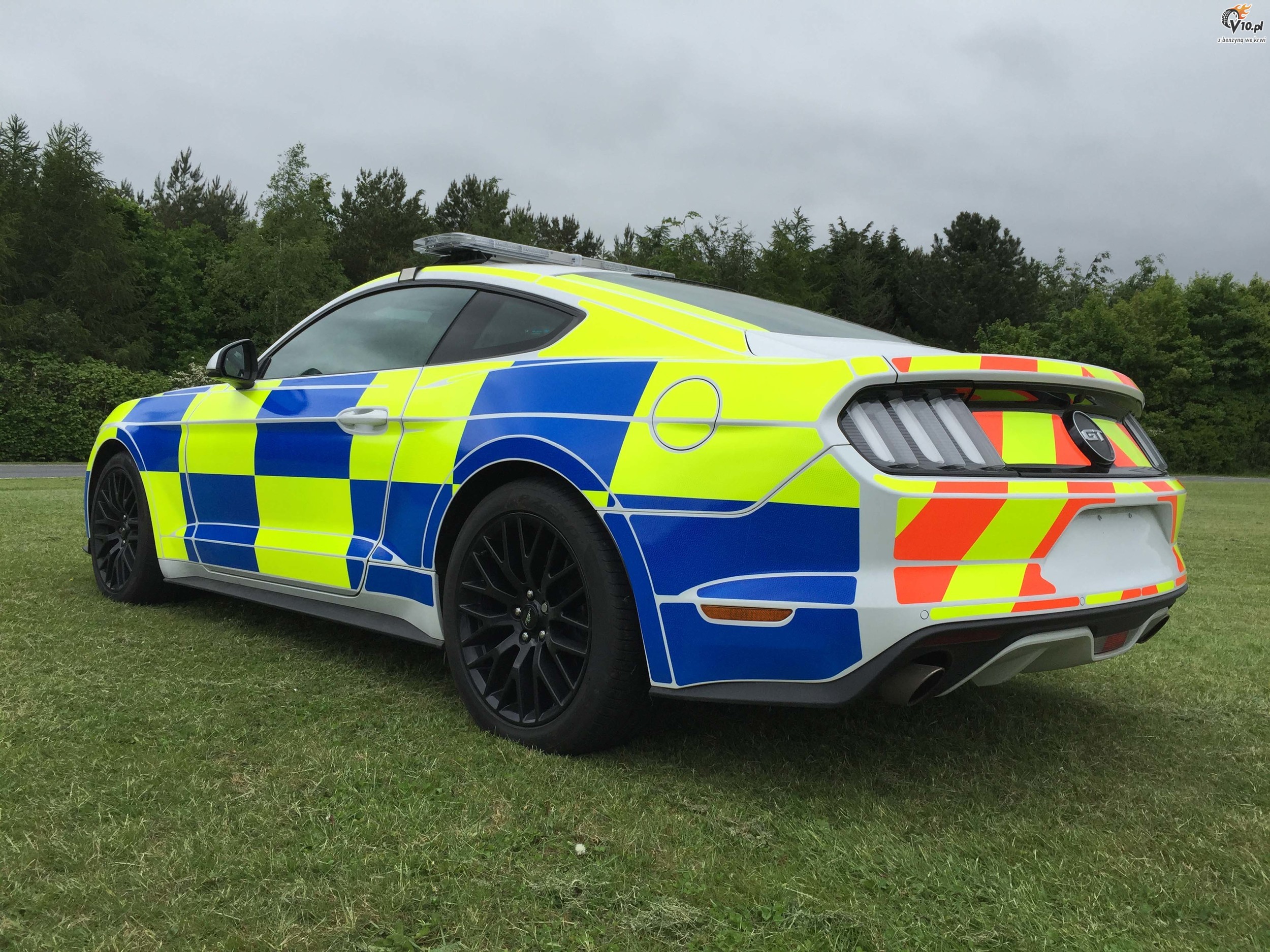 Ford Mustang w barwach brytyjskiej policji
