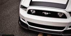 Ford Mustang RTR model 2013