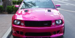 Molly Saleen Mustang