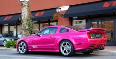 Molly Saleen Mustang