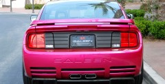 Molly Saleen Mustang