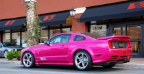 Molly Saleen Mustang