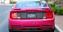 Molly Saleen Mustang