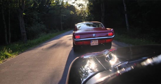 Mustang Race