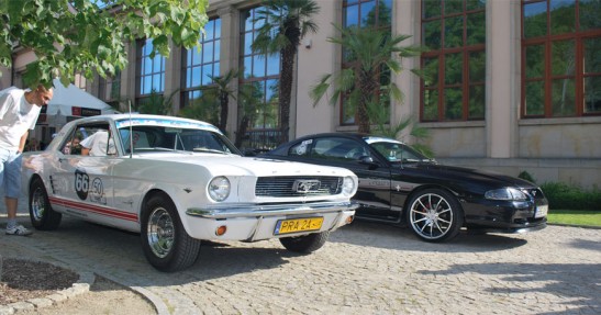 Mustang Race