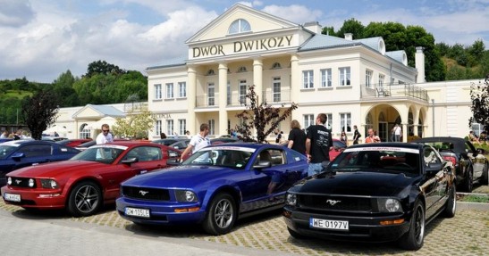 Mustang Race