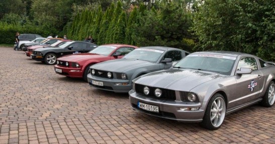 Mustang Race