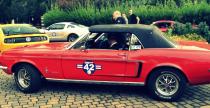 Mustang Race 2013