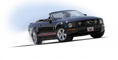 Ford Mustang Warriors in Pink Limited Edition