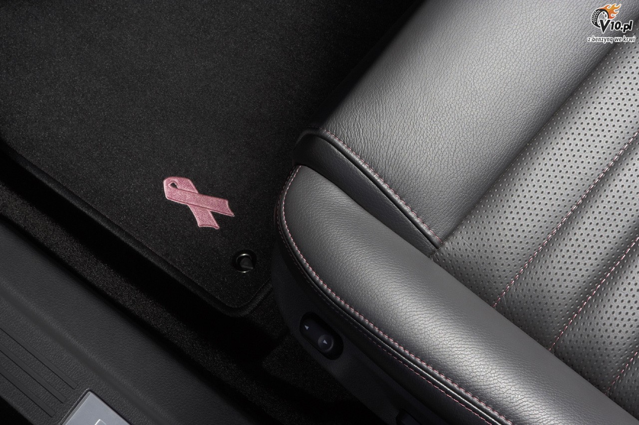 Ford Mustang Warriors in Pink Limited Edition