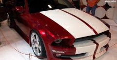 Mustardo  - Gallardo i Mustang w jednym