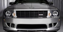 Mustang Saleen S-25 Sterling Edition