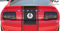 Shelby GT500 Super Snake