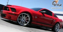 Shelby GT500 Super Snake