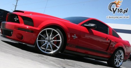Shelby GT500 Super Snake