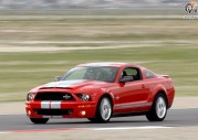 Shelby Mustang GT500 KR model 2008