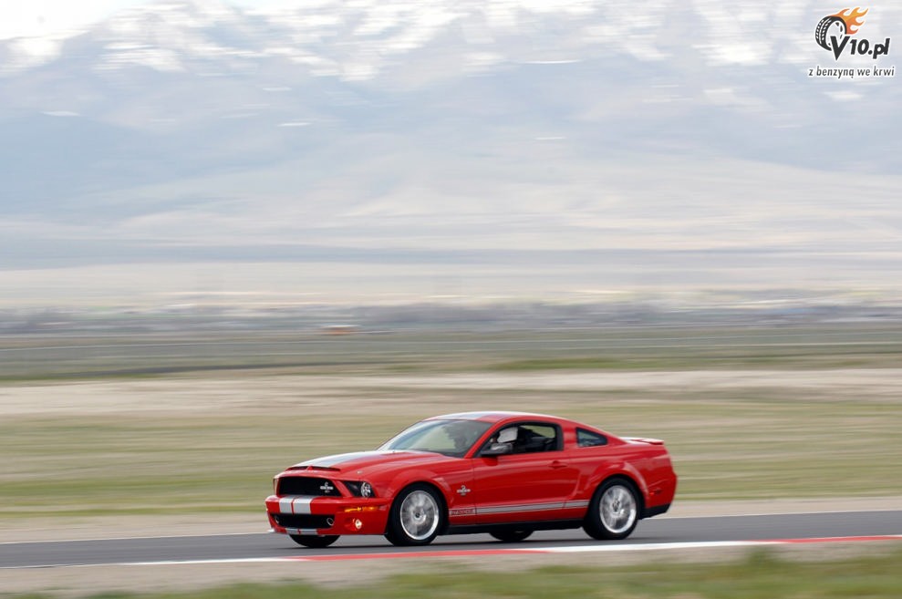Shelby Mustang GT500 KR model 2008