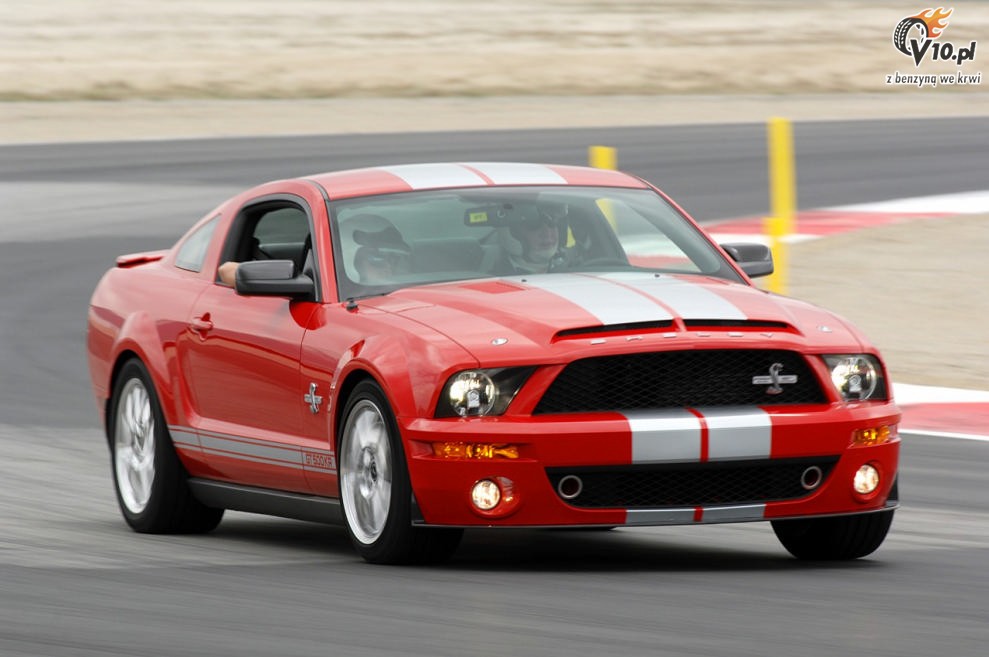 Shelby Mustang GT500 KR model 2008