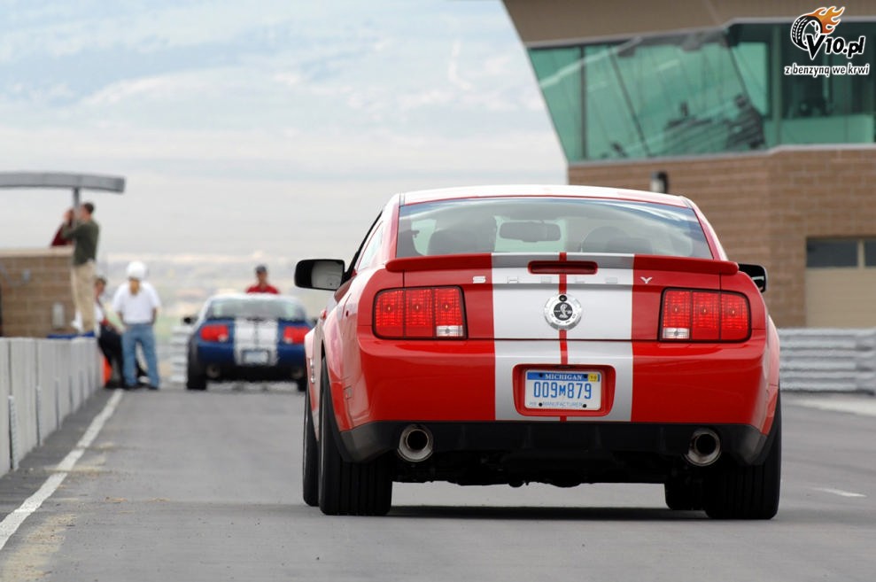 Shelby Mustang GT500 KR model 2008