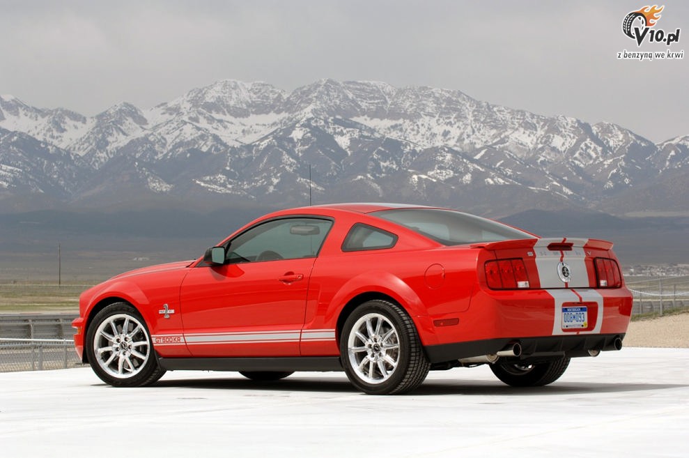 Shelby Mustang GT500 KR model 2008