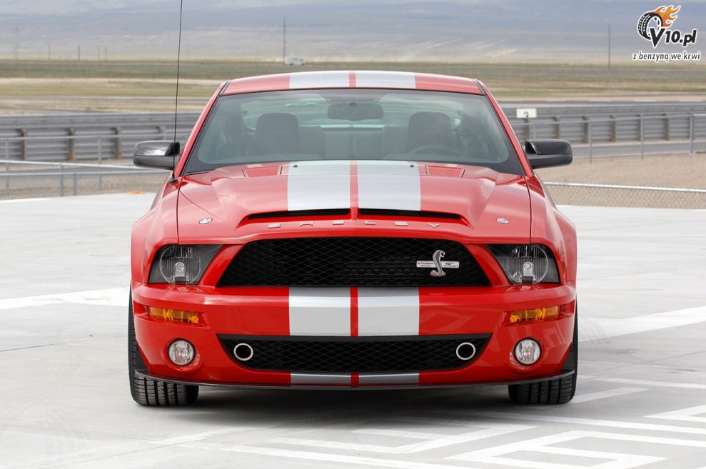 Shelby Mustang GT500 KR model 2008