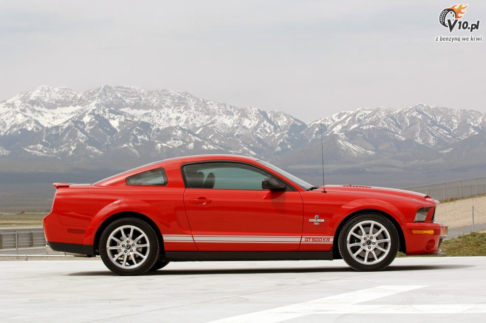 Shelby Mustang GT500 KR model 2008