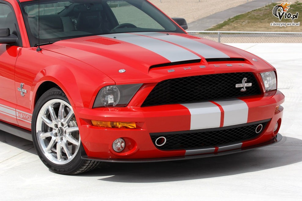 Shelby Mustang GT500 KR model 2008